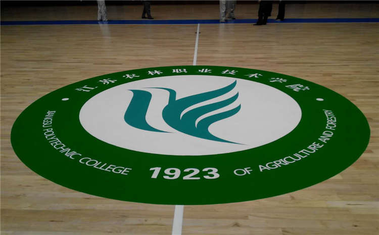 學(xué)校運(yùn)動體育地板板式龍骨結(jié)構(gòu)